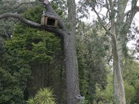 To the Memorial of the&nbsp;Squirrel