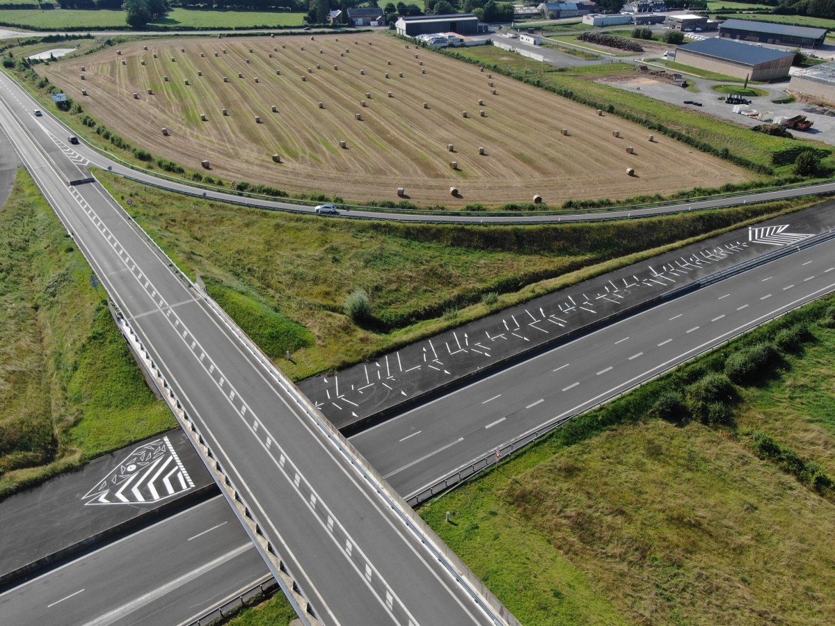 Sans queue ni&nbsp;tête