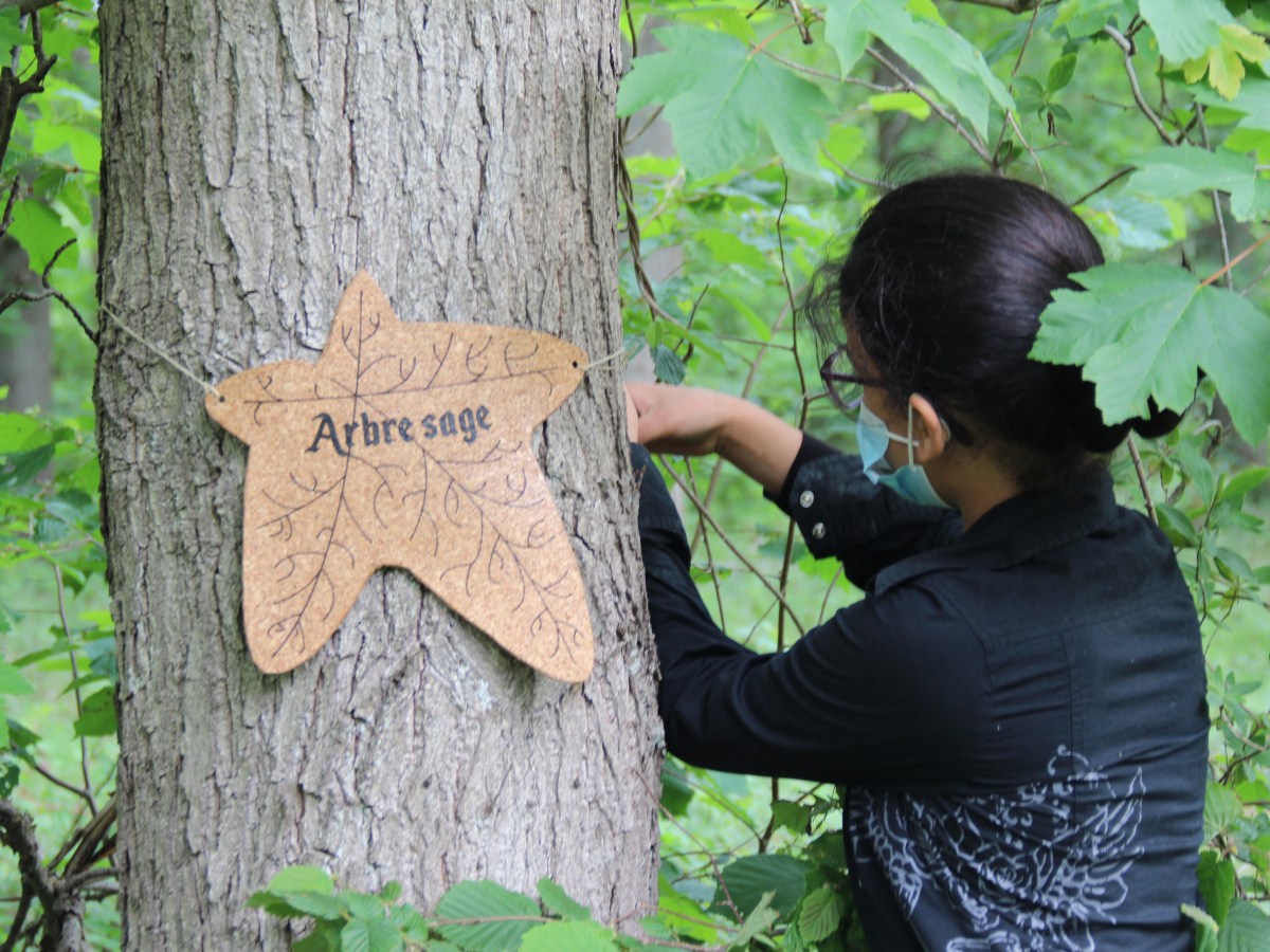 Arboretum à histoire